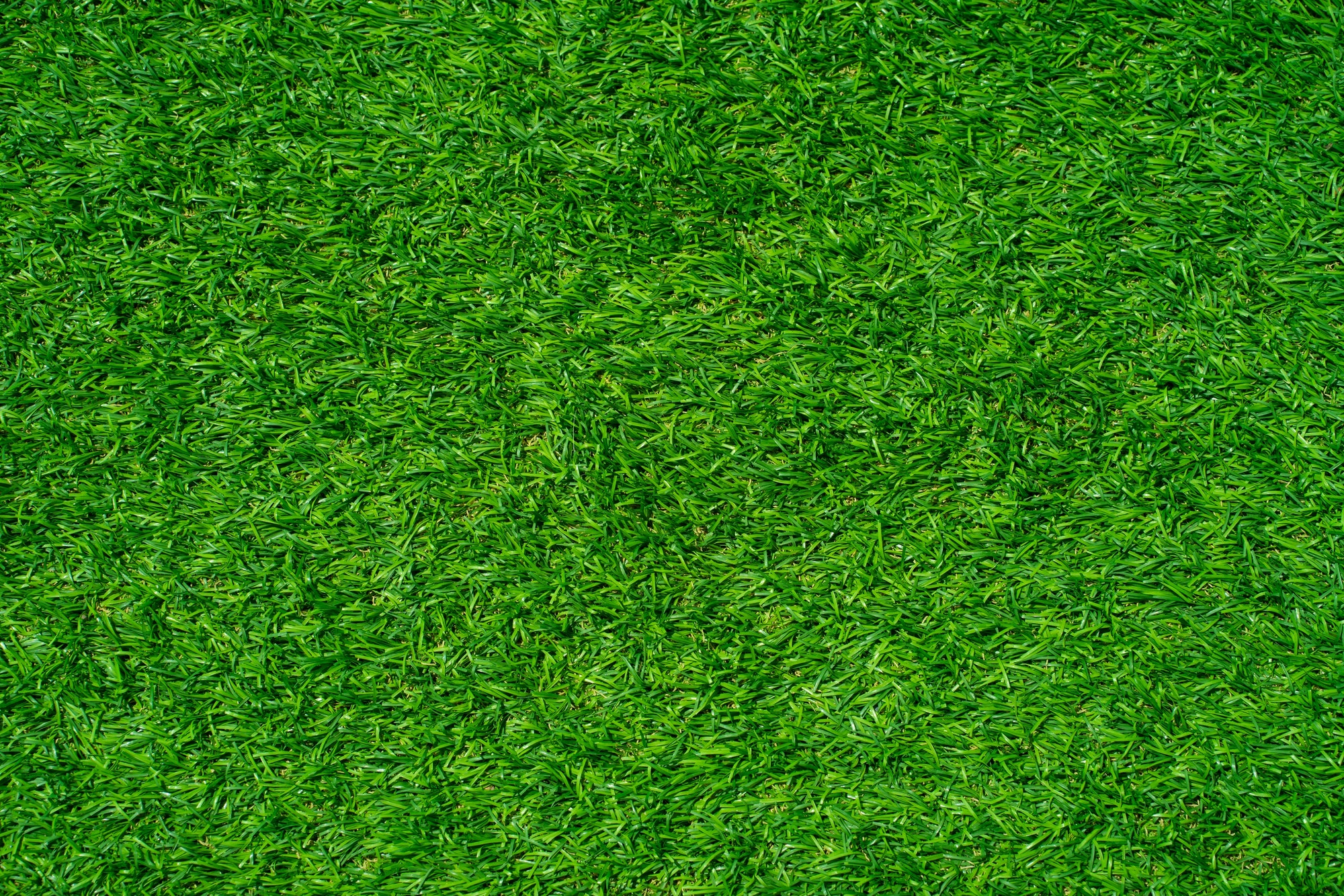 Artificial grass